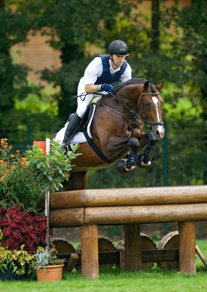 Show Jumping Trainers